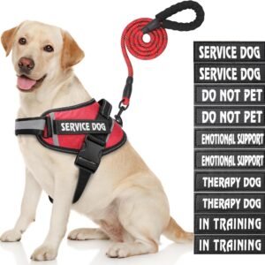 Dog Vest Harness and Patches Set, Animire in Training Service Dog Harness