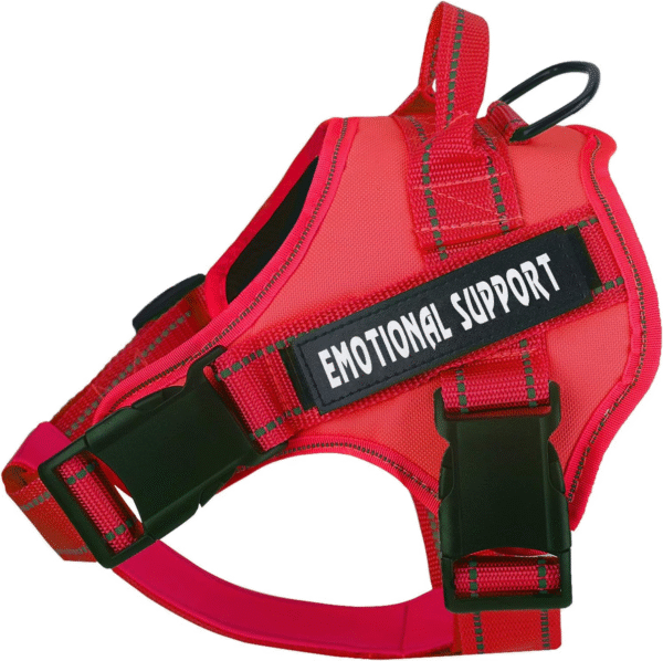 Dog Vest Harness and Patches Set, Animire in Training Service Dog Harness - Image 3