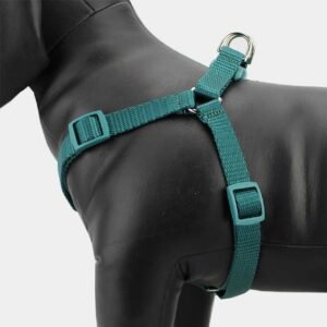 Harness
