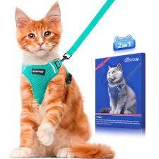 Cat Lead with Harness for Cats