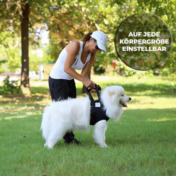 Nature Pet Front Carrier for Dogs - Carry Strap Dog - Image 4