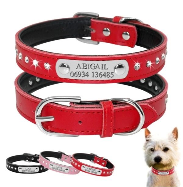 Name Plate Rhinestone Leather Dog Collar Red