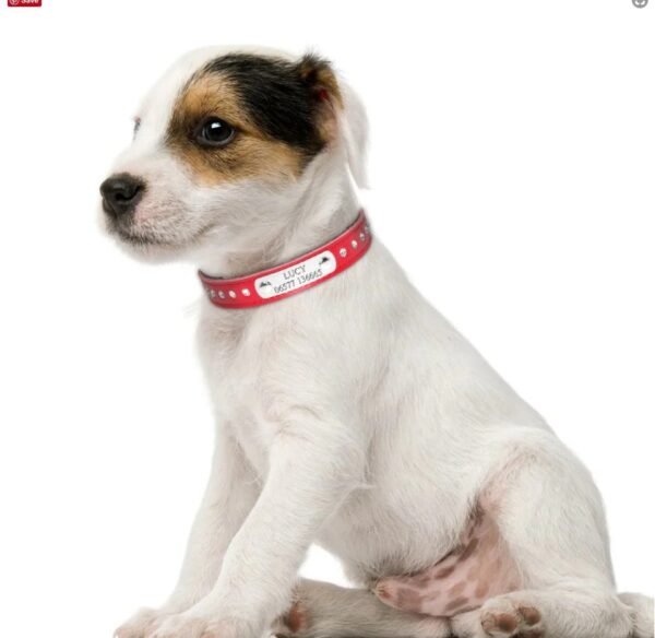 Name Plate Rhinestone Leather Dog Collar Red - Image 2
