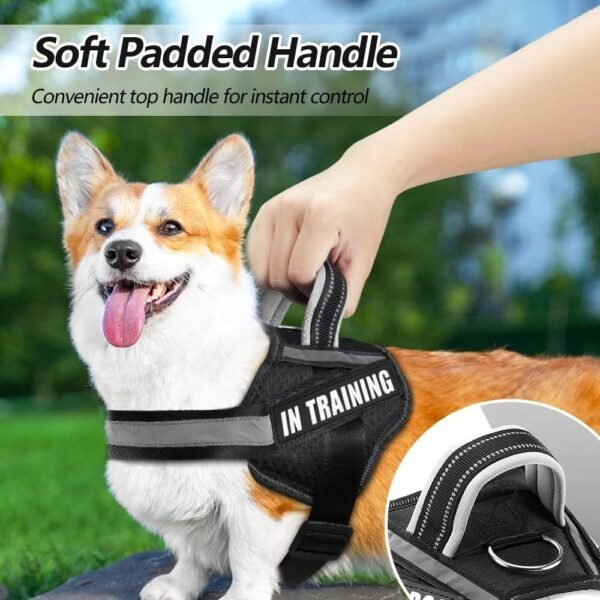 Dog Vest Harness and Patches Set, Animire in Training Service Dog Harness - Image 4